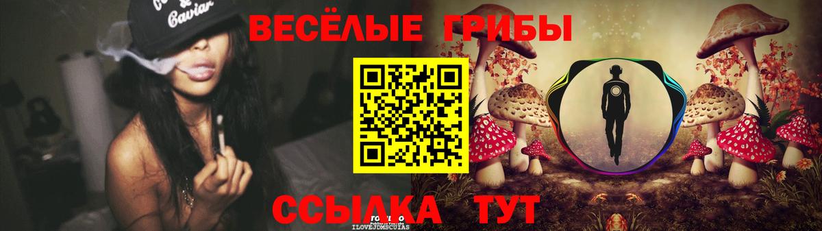 Псилоцибиновые грибы прущие грибы  Галлюциногенные грибы Psilocybe  Славгород  Вход с VPN 